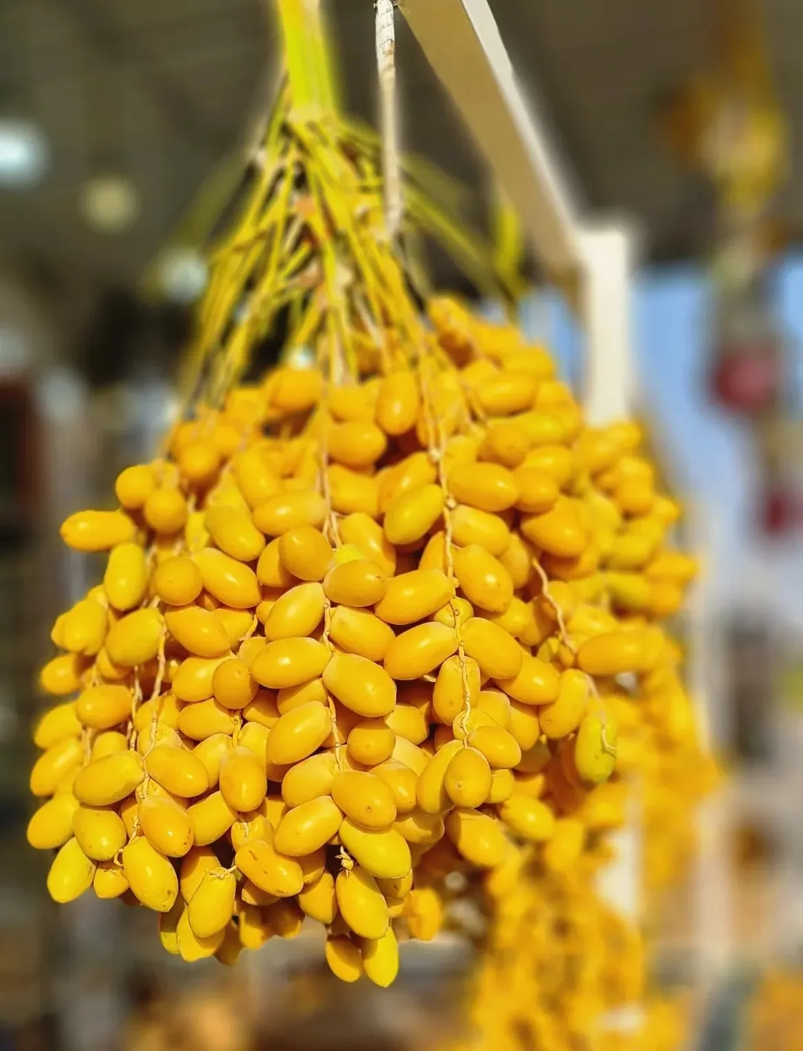 Yellow Kharak bunch